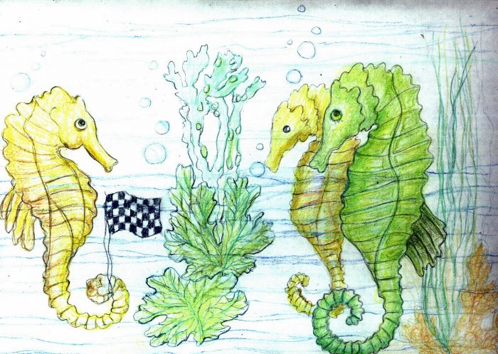 Seahorse races by Carole by Carole Graham